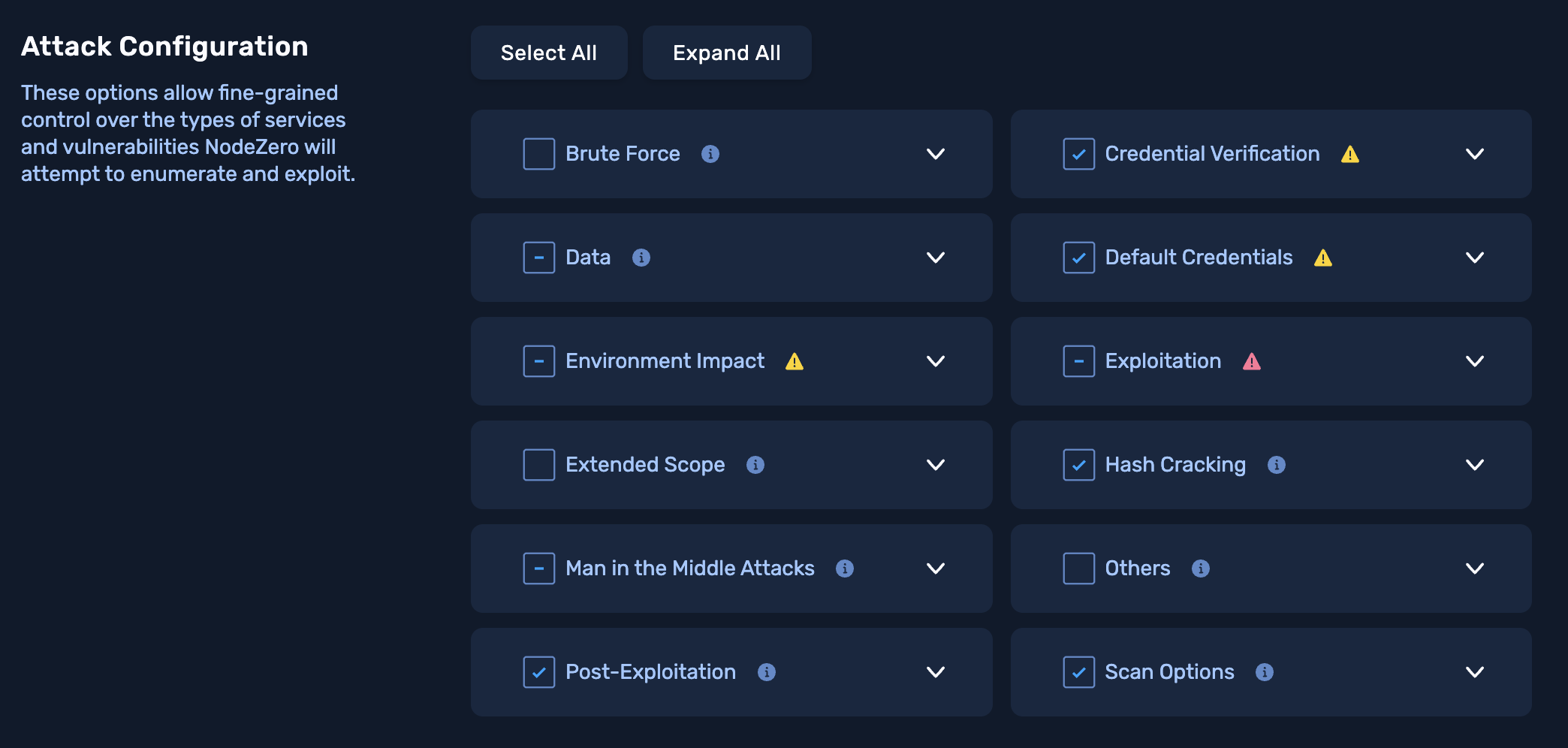 Attack Configuration options panel from an Internal Pentest