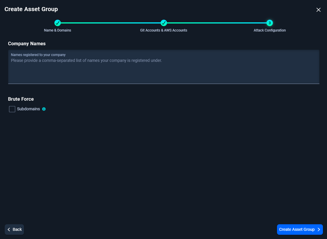 Create Asset Group form (3rd step): Company Names input field and Brute Force checkbox.