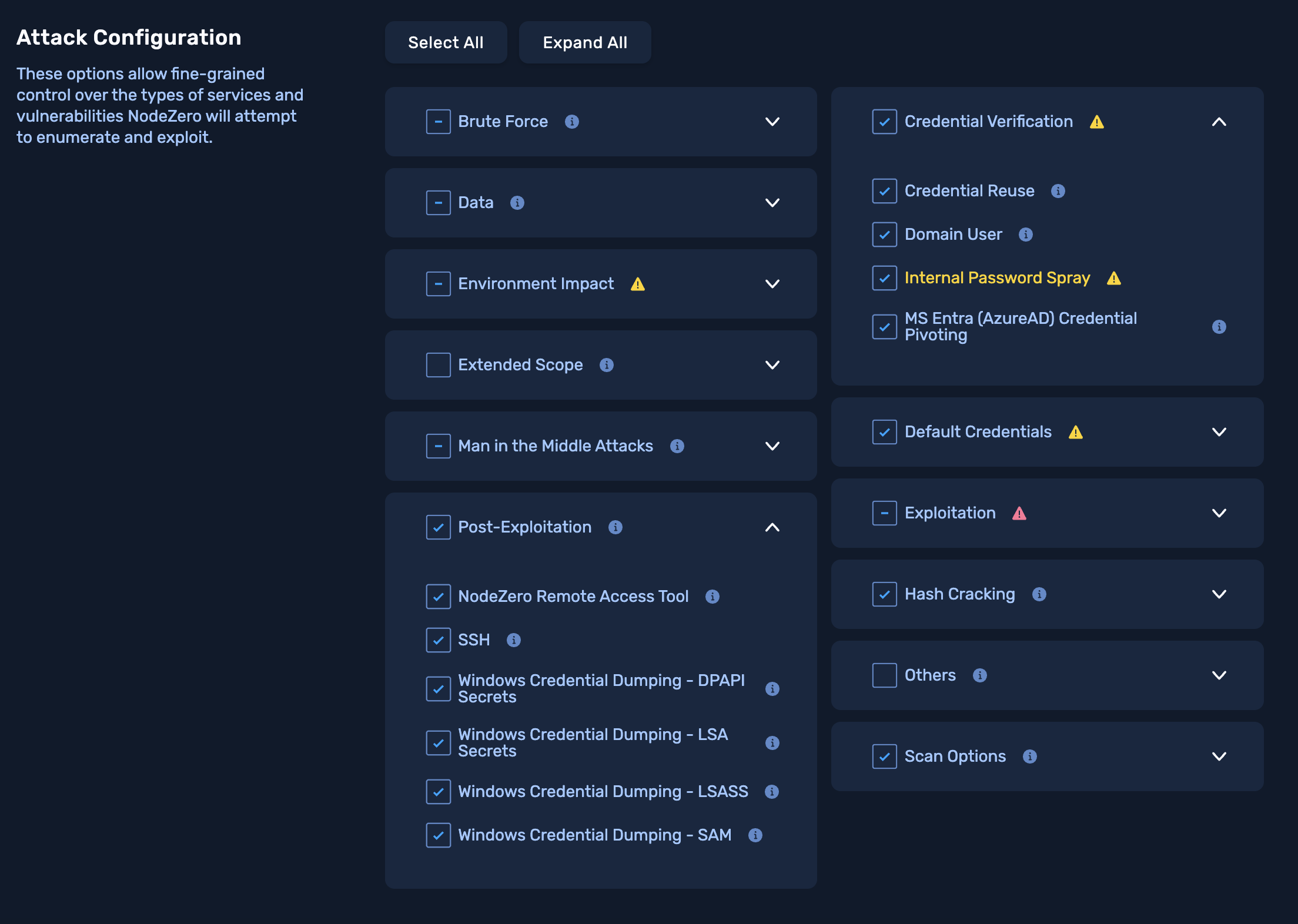 Internal Pentest Advanced configuration options screenshot