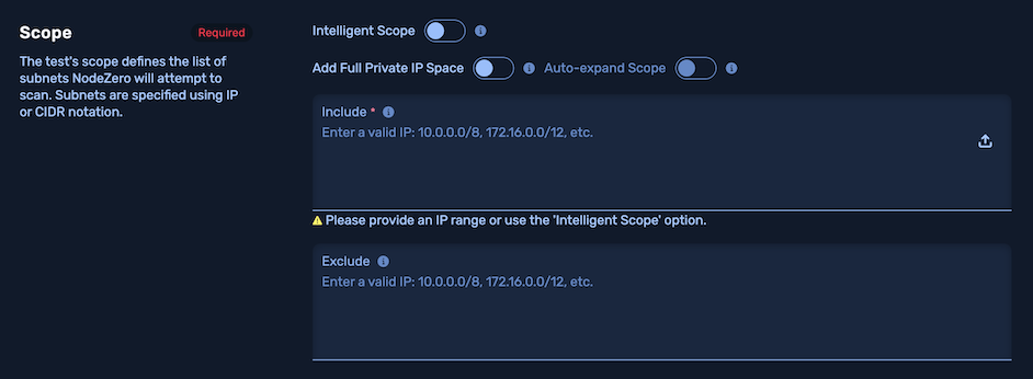 Internal Pentest Configure scope screenshot