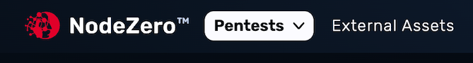 Dropdown to select NodeZero Pentest screenshot